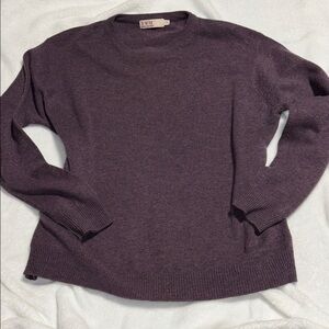 XL plum 100% Wool washable sweater lambs wool Edinburgh Woolen Mill round neck
